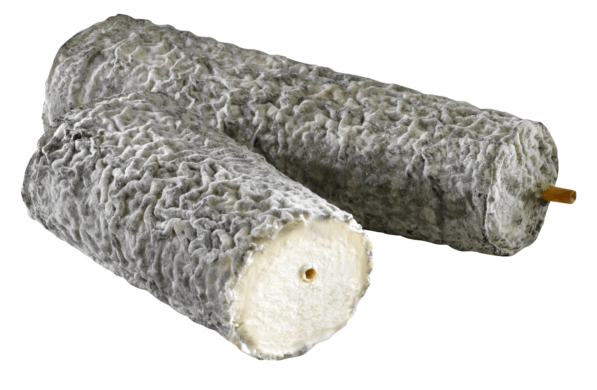 Notre Sainte Maure Cloche d'Or