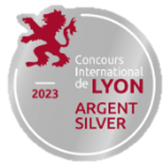 Médaille d'argent Lyon