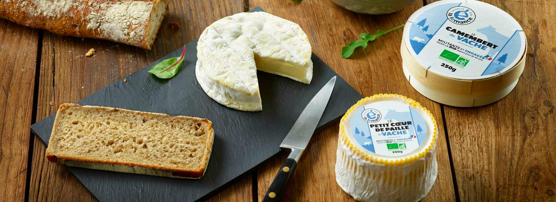 Bannière fromages de vache