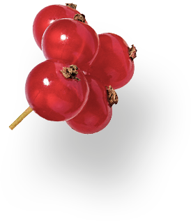 groseilles