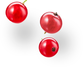 groseilles