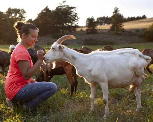 éleveuse de chèvres avec son troupeau