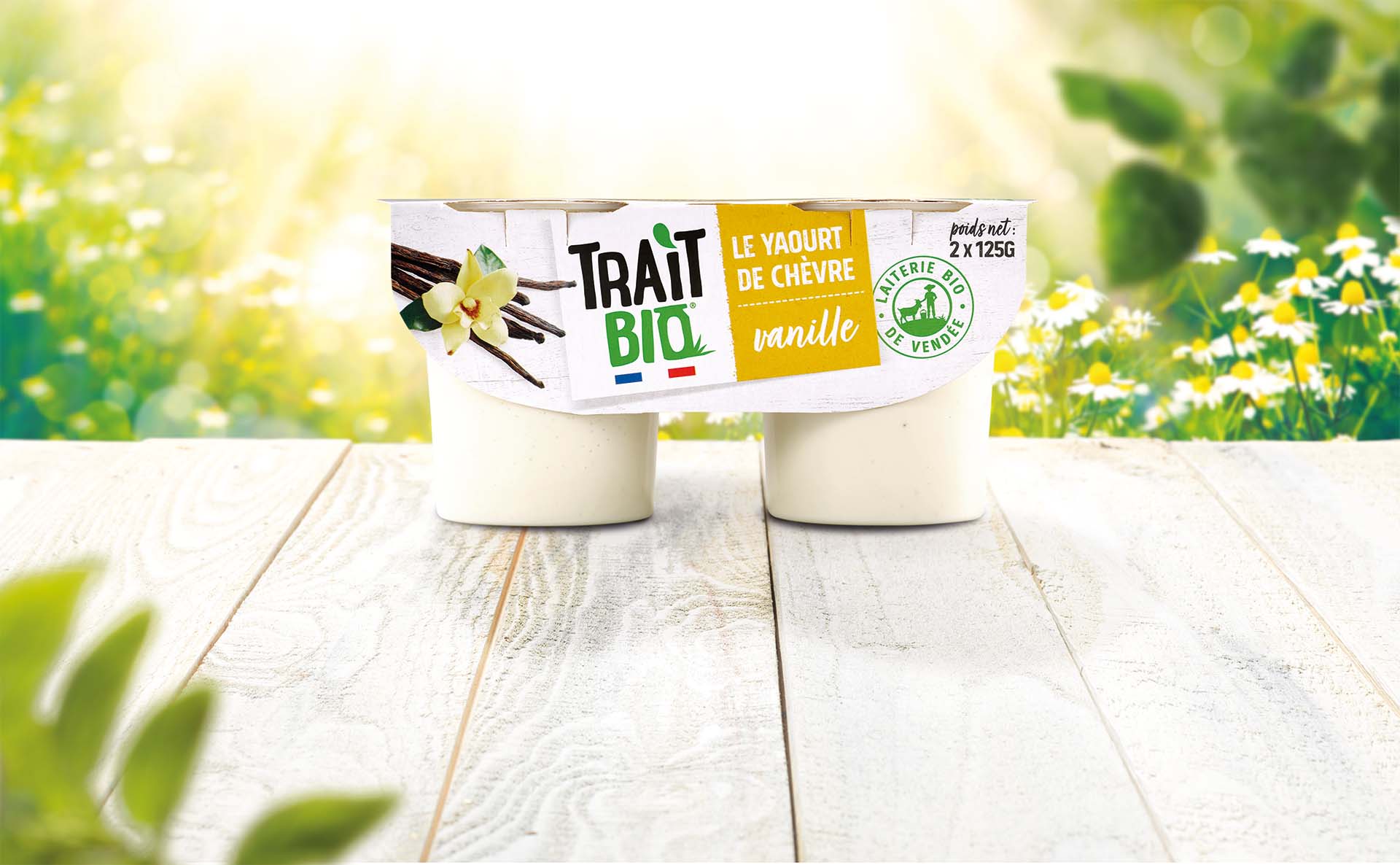 Yaourt de chèvre brassé vanille
