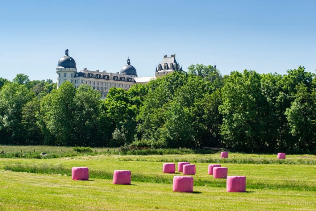 20210531 valancay 20 (1)