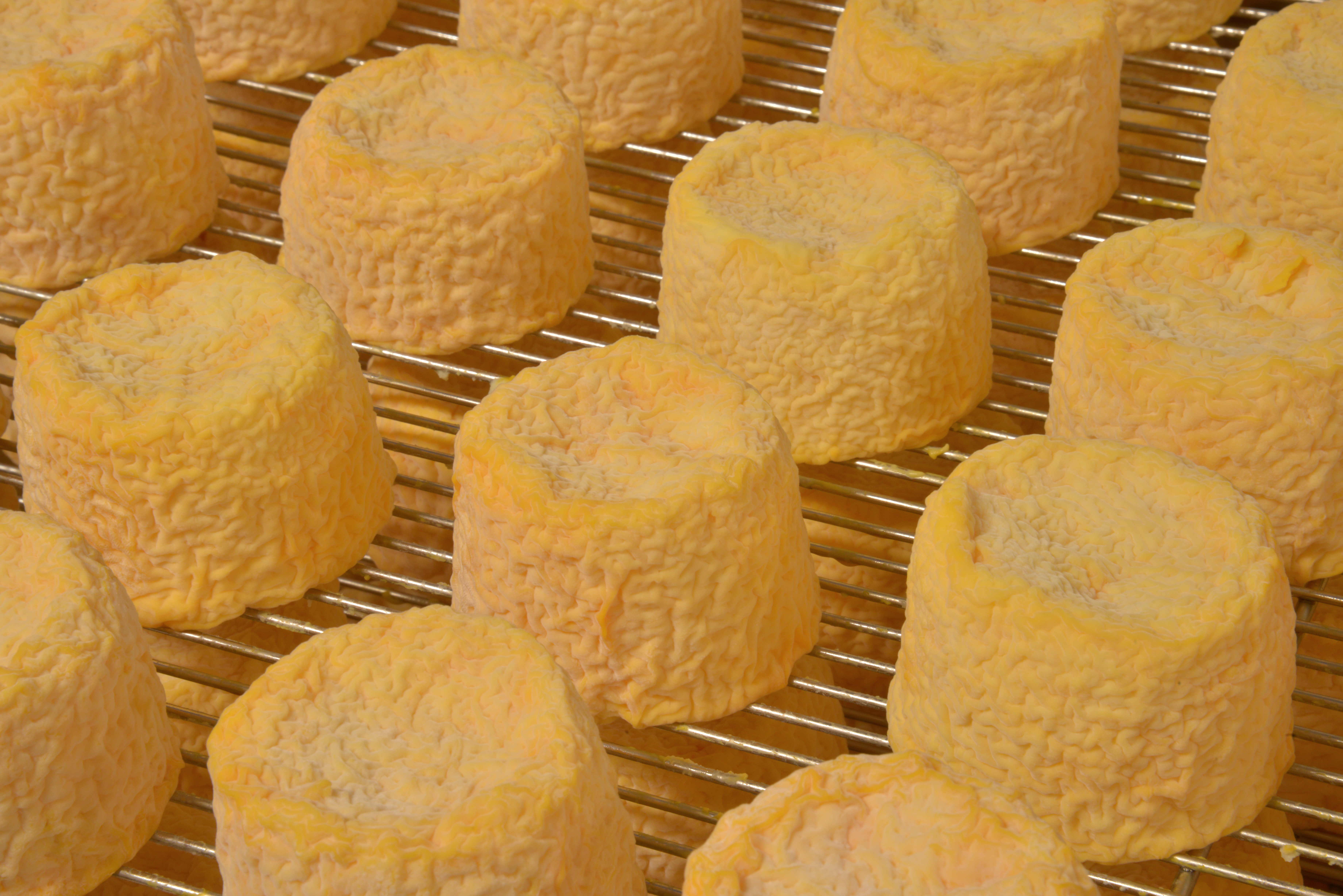 Langres en affinage