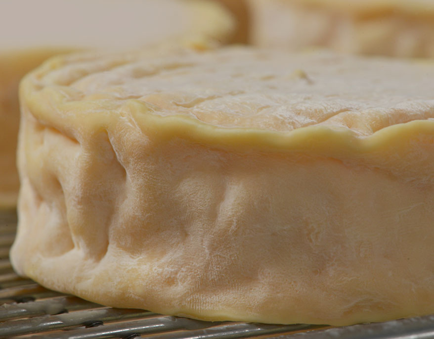 epoisses2