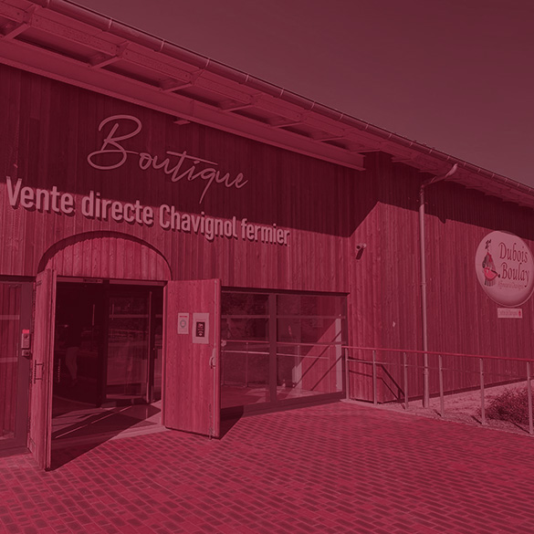 boutique